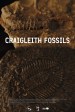 Craigleith Fossils