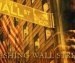 Crashing Wall Street