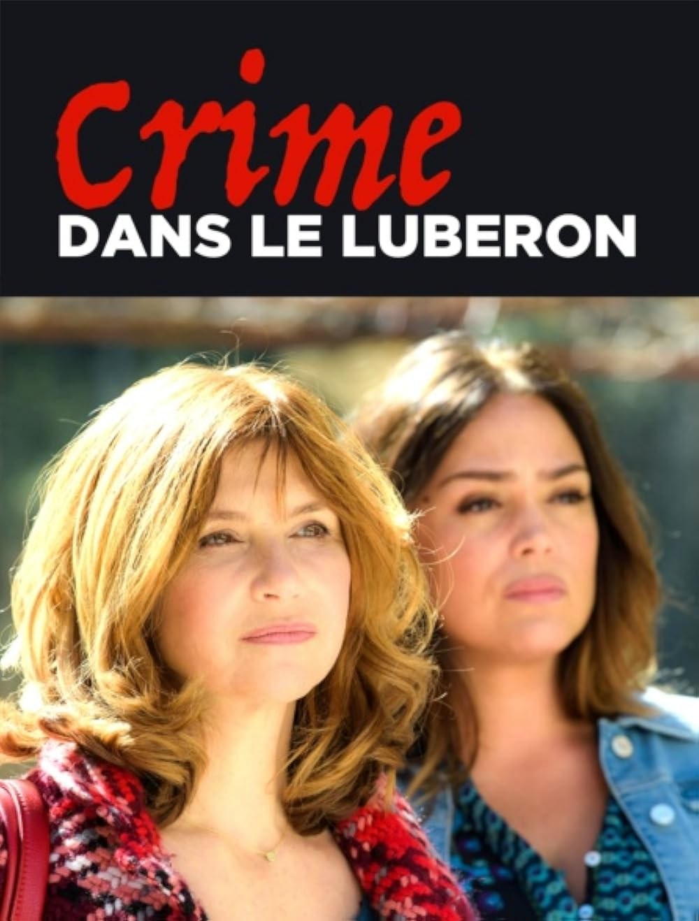 Poster de CRIME DANS LE LUBERON