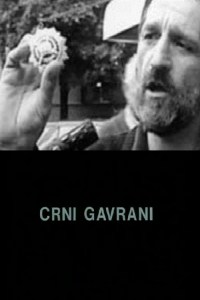 Película Crni gavrani