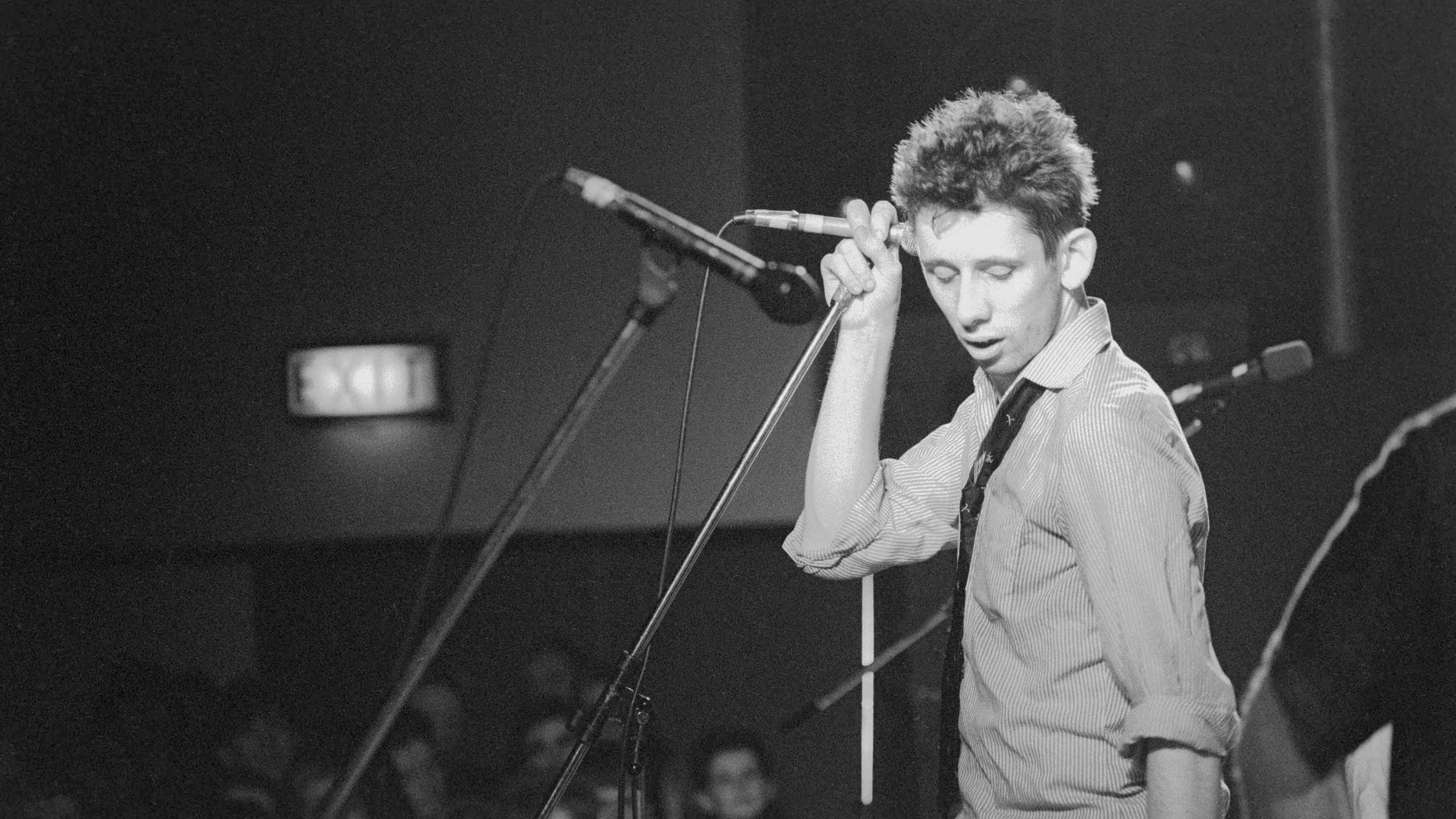 Foto de CROCK OF GOLD: BEBIENDO CON SHANE MACGOWAN