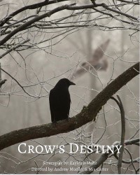 Crow's Destiny