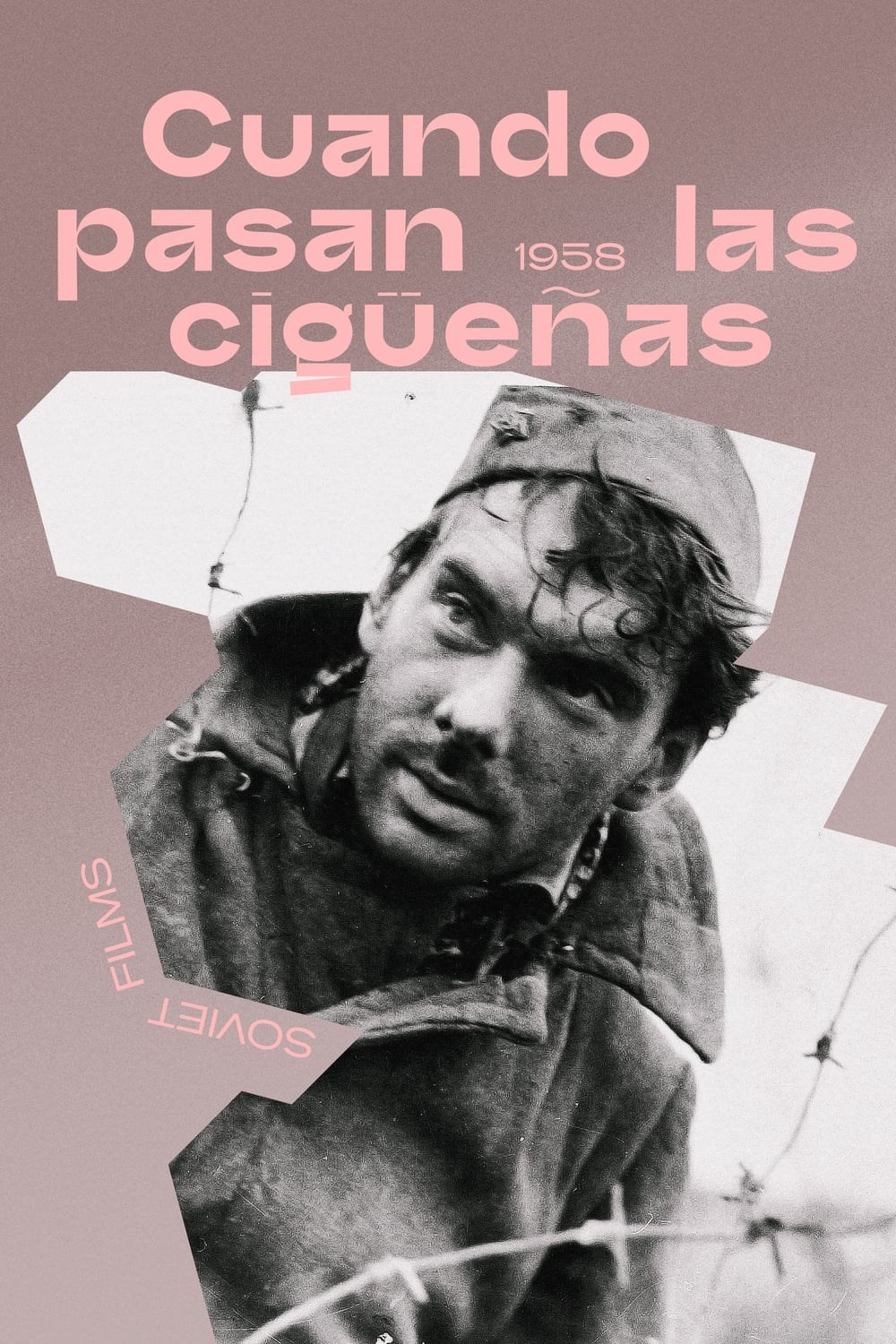 Poster de CUANDO PASAN LAS CIGÜEÑAS en español