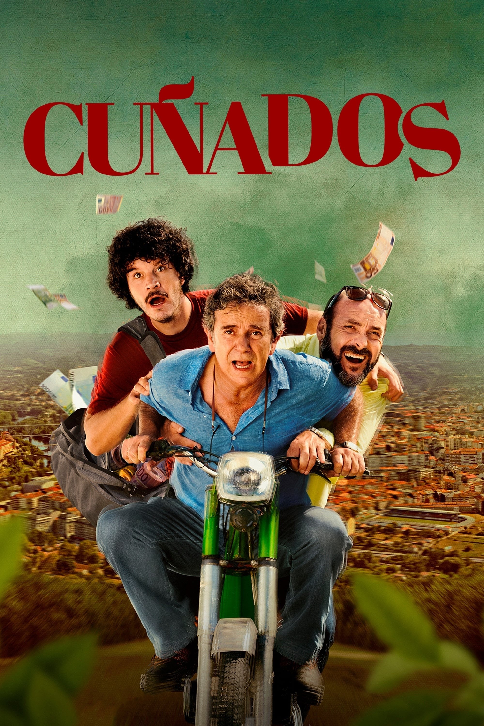 Poster de CUÑADOS en español