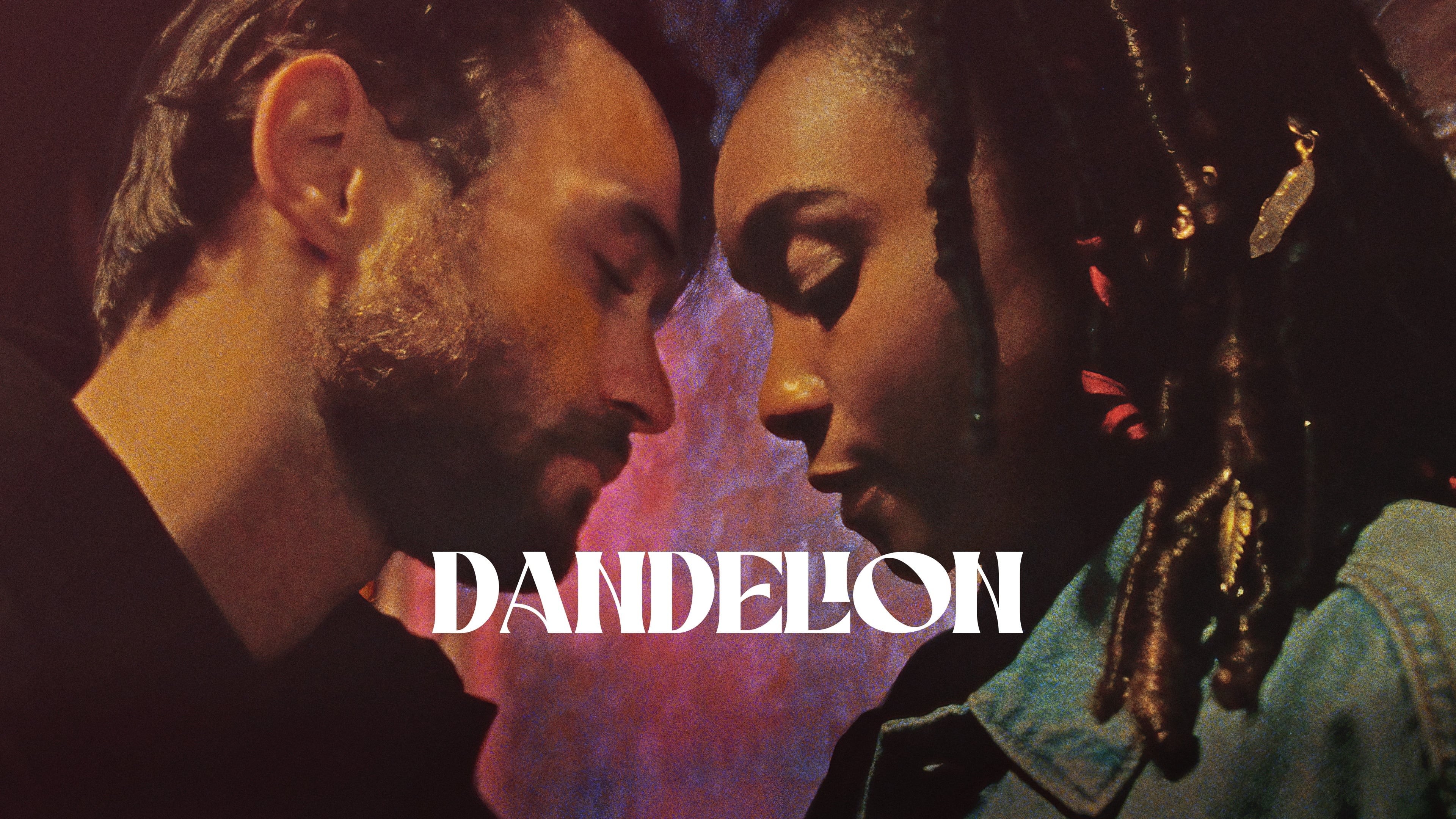 Foto de DANDELION
