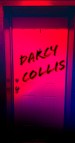 Darcy Collis