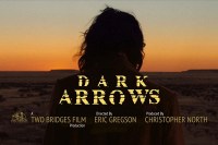 Dark Arrows