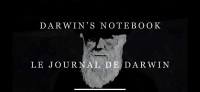 Darwin's Notebook