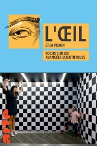 Das Auge: Forschung Sehen
