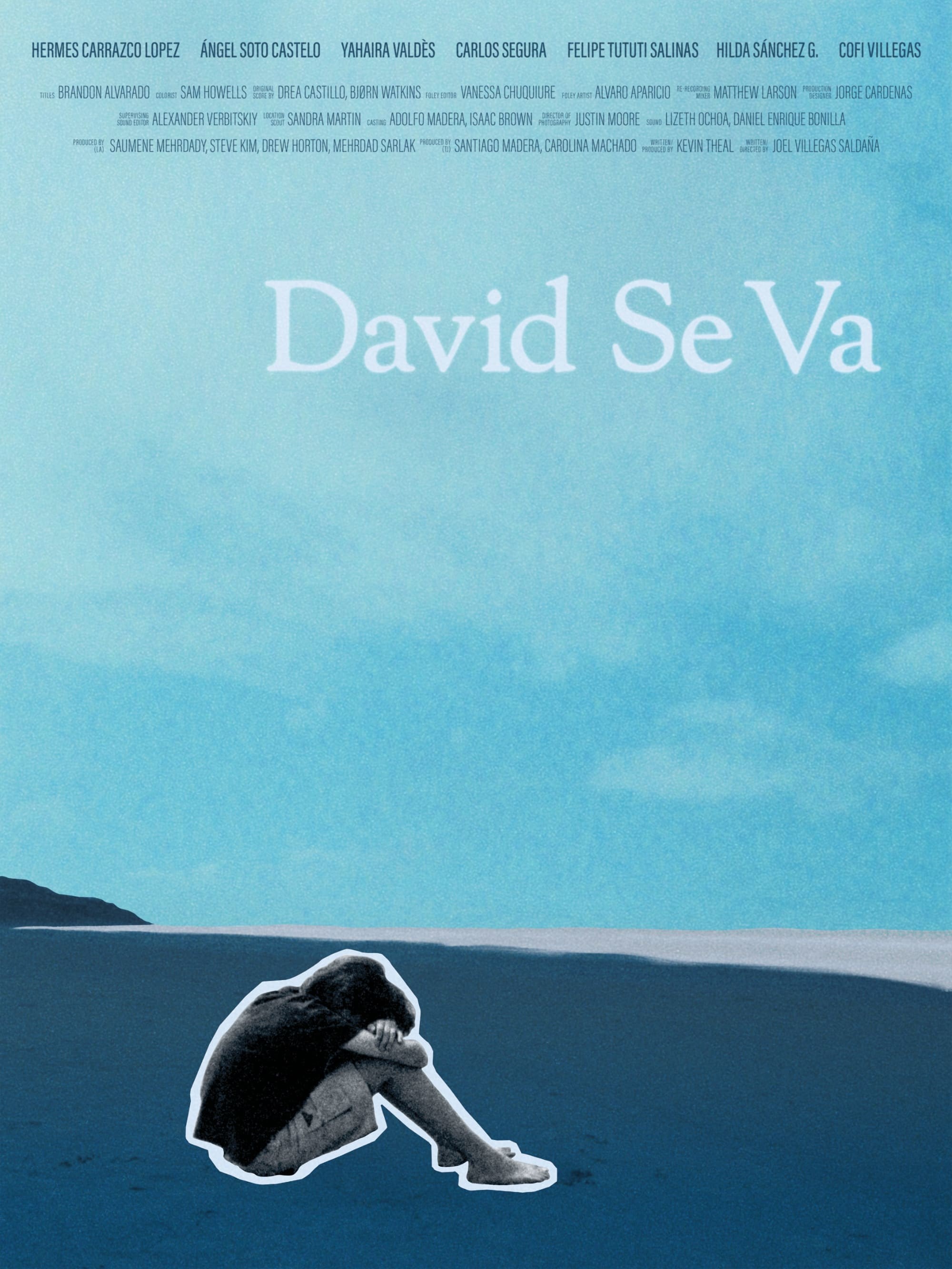 Poster de DAVID SE VA