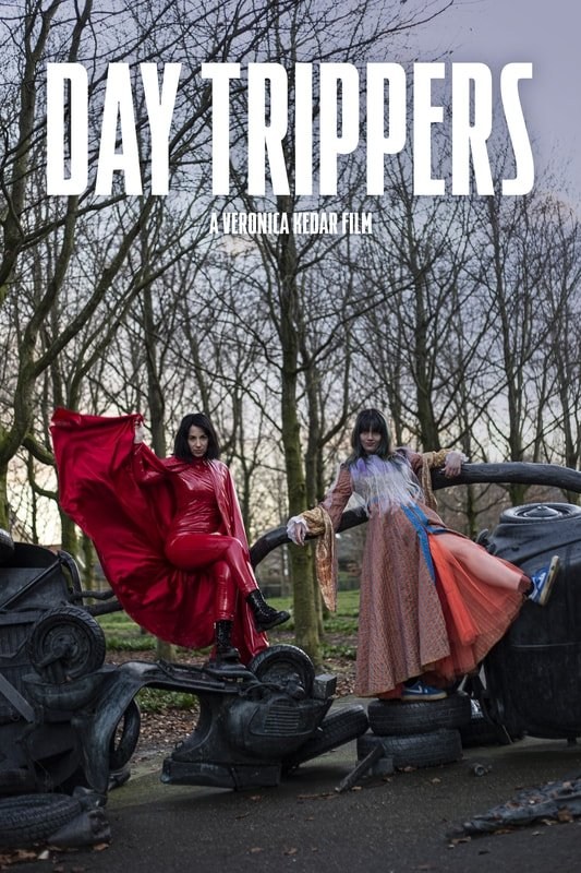 Poster de DAY TRIPPERS
