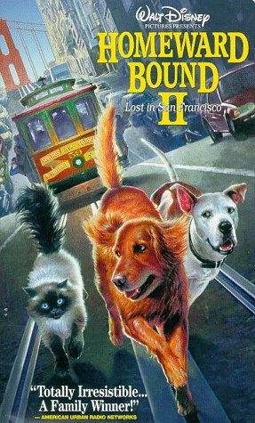 Poster de DE VUELTA A CASA 2: PERDIDOS EN SAN FRANCISCO