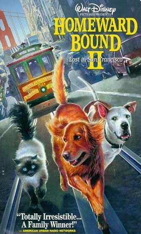 Poster de DE VUELTA A CASA 2: PERDIDOS EN SAN FRANCISCO