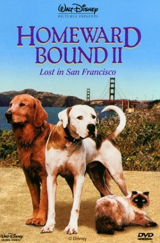 Poster de DE VUELTA A CASA 2: PERDIDOS EN SAN FRANCISCO