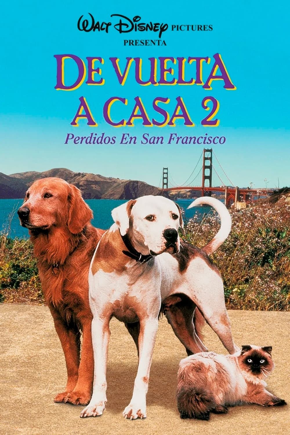 Poster de DE VUELTA A CASA 2: PERDIDOS EN SAN FRANCISCO en español