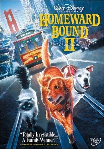 Poster de DE VUELTA A CASA 2: PERDIDOS EN SAN FRANCISCO