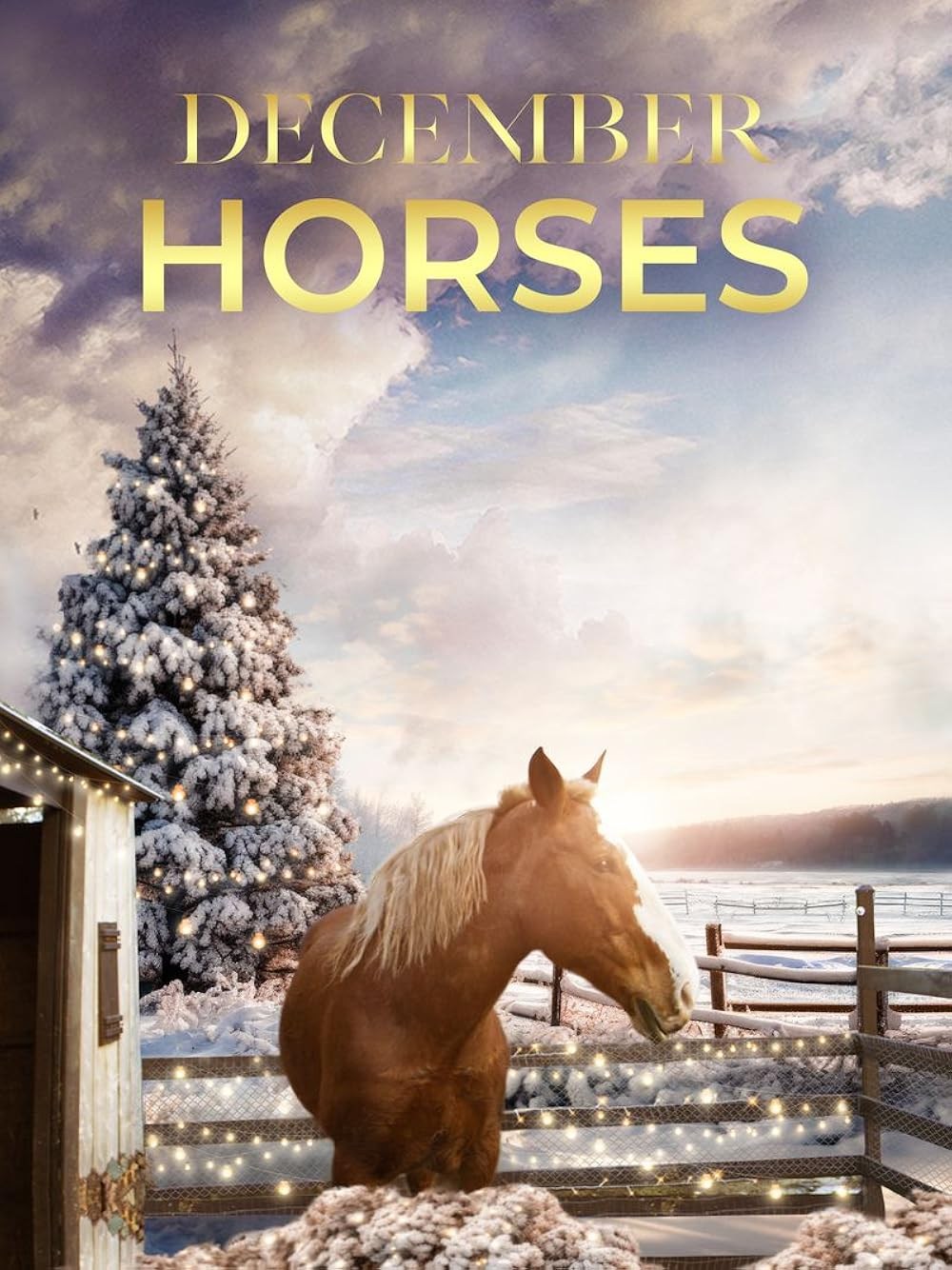 Poster de DECEMBER HORSES