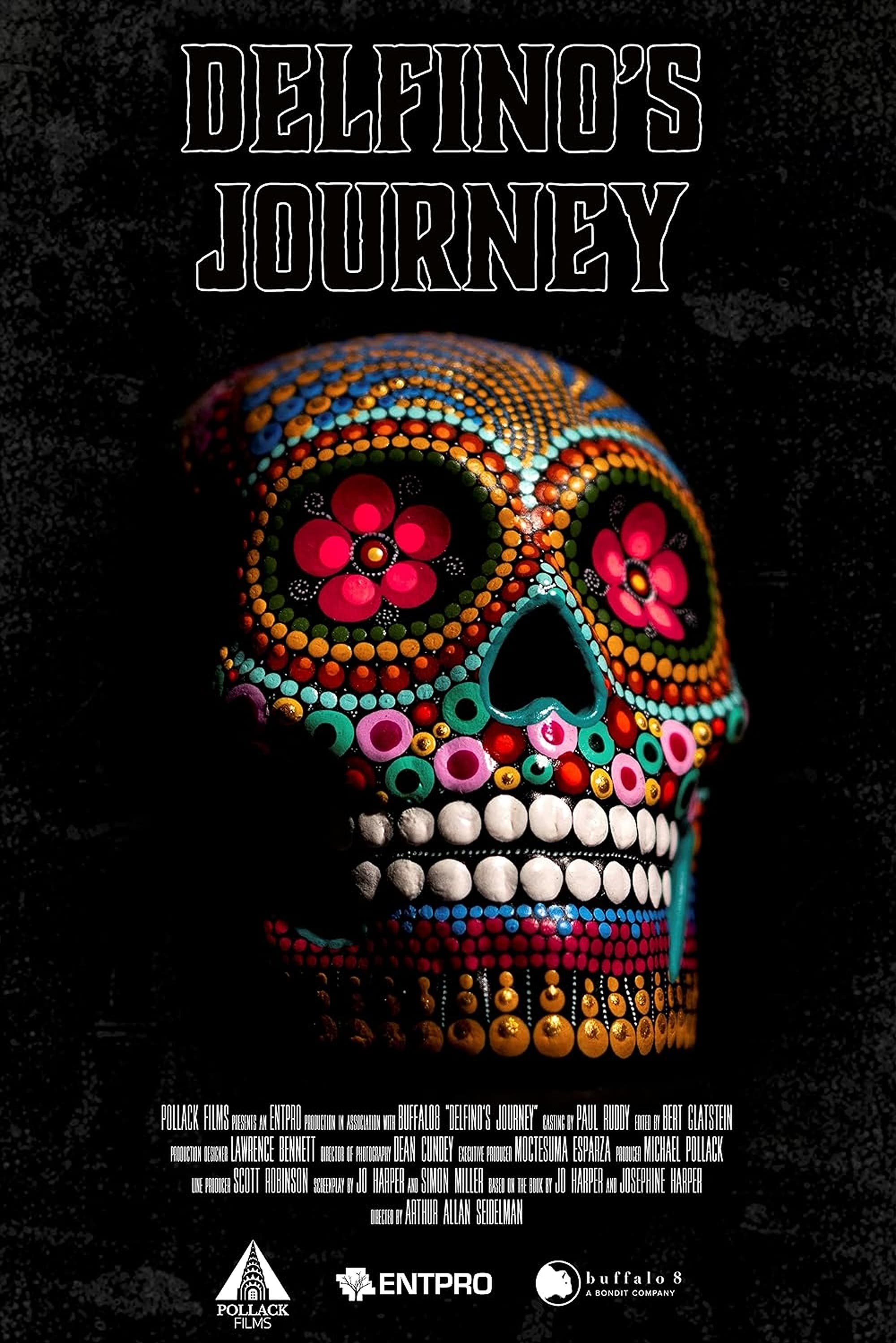 Poster de DELFINO&APOS;S JOURNEY