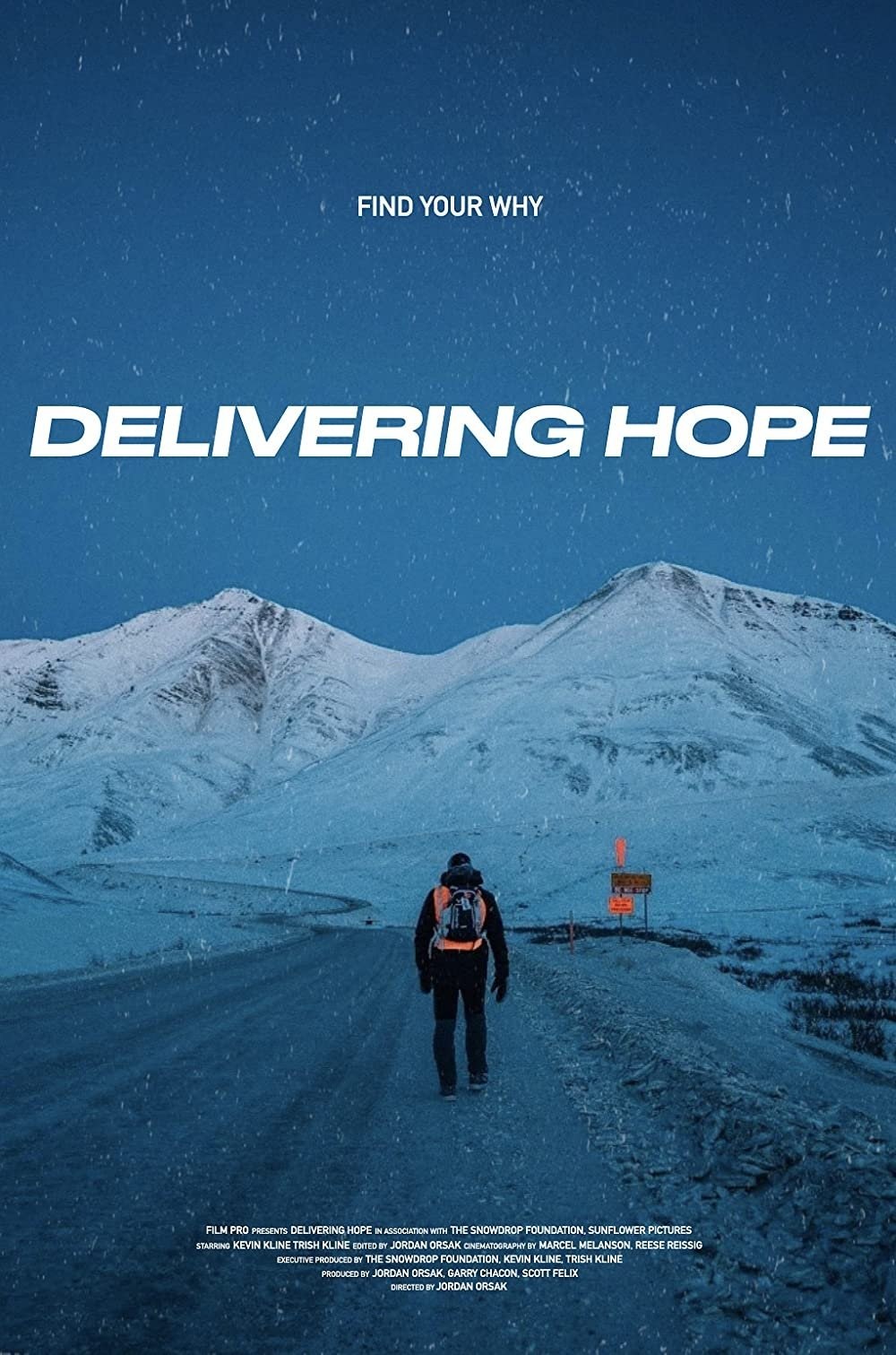 Poster de DELIVERING HOPE