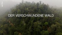 Der verschwundene Wald: Von Borneo bis Tokio
