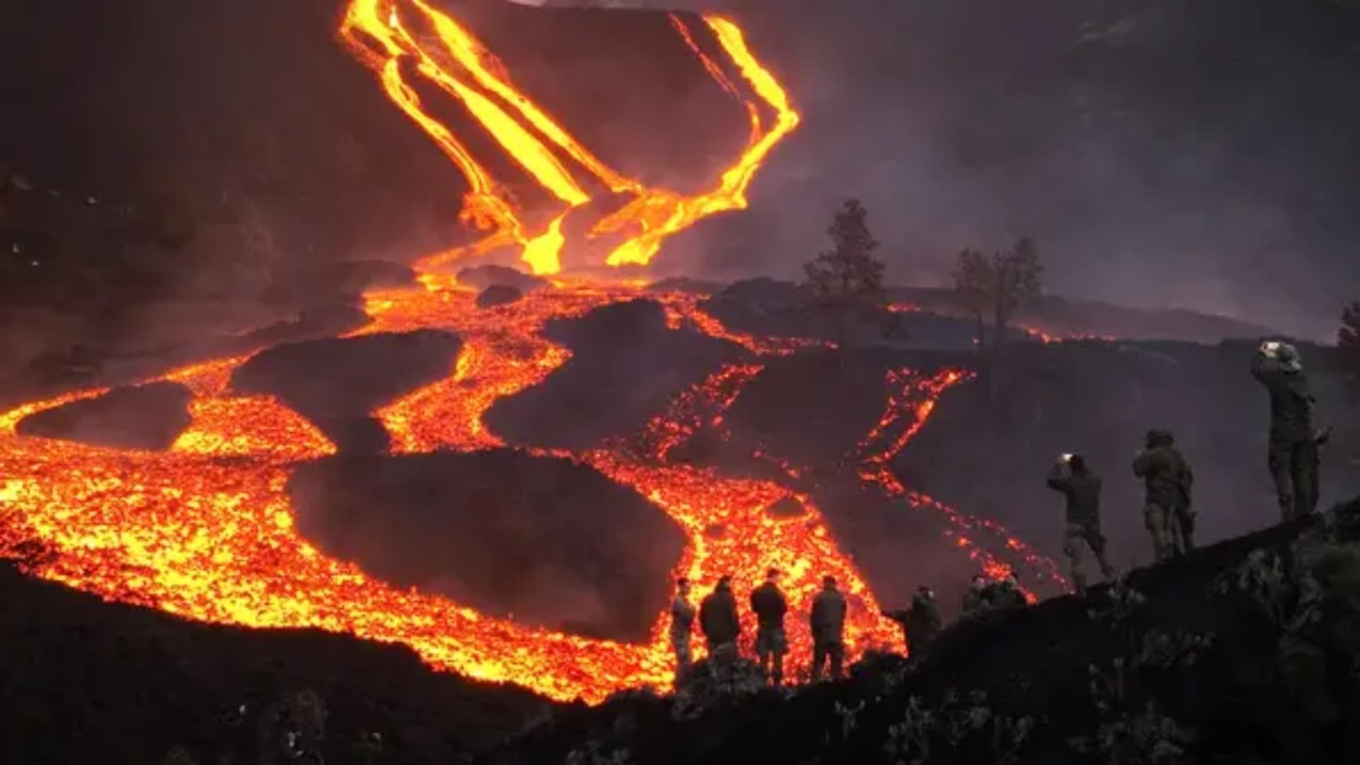 Foto de DER VULKAN VON LA PALMA: DIE RÜCKKEHR DES LEBENS