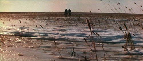 Foto de DERSU UZALA (EL CAZADOR)