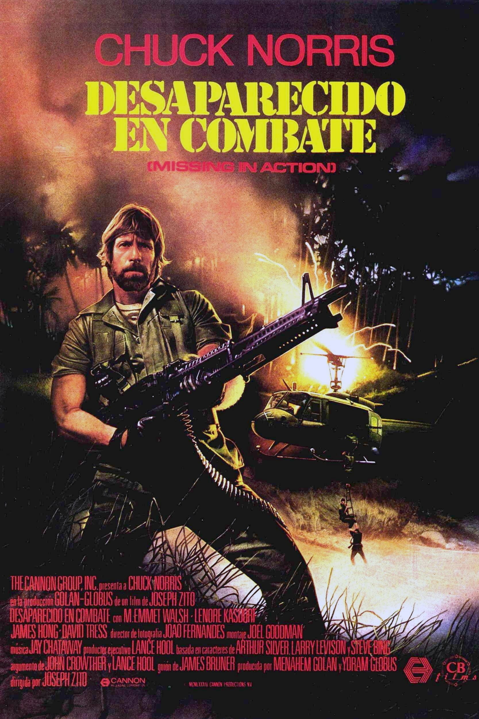 Poster de DESAPARECIDO EN COMBATE en español