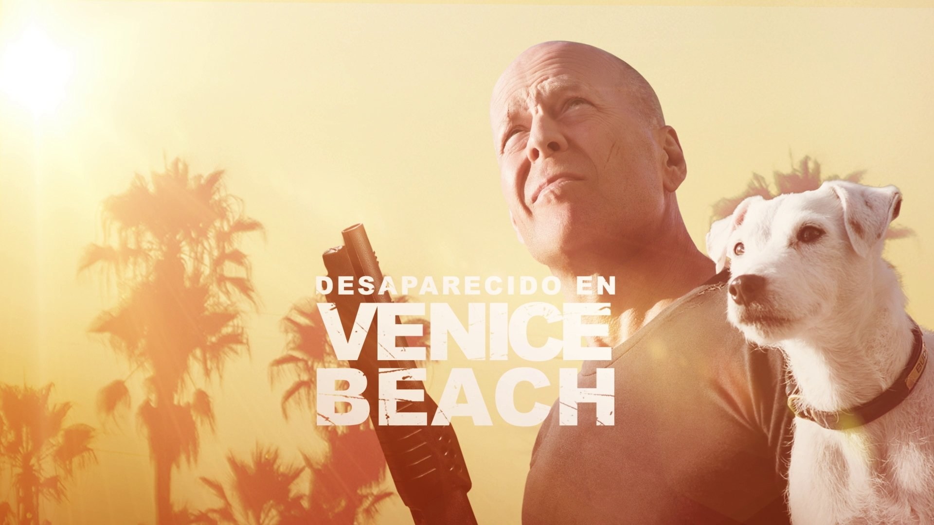 Foto de DESAPARECIDO EN VENICE BEACH
