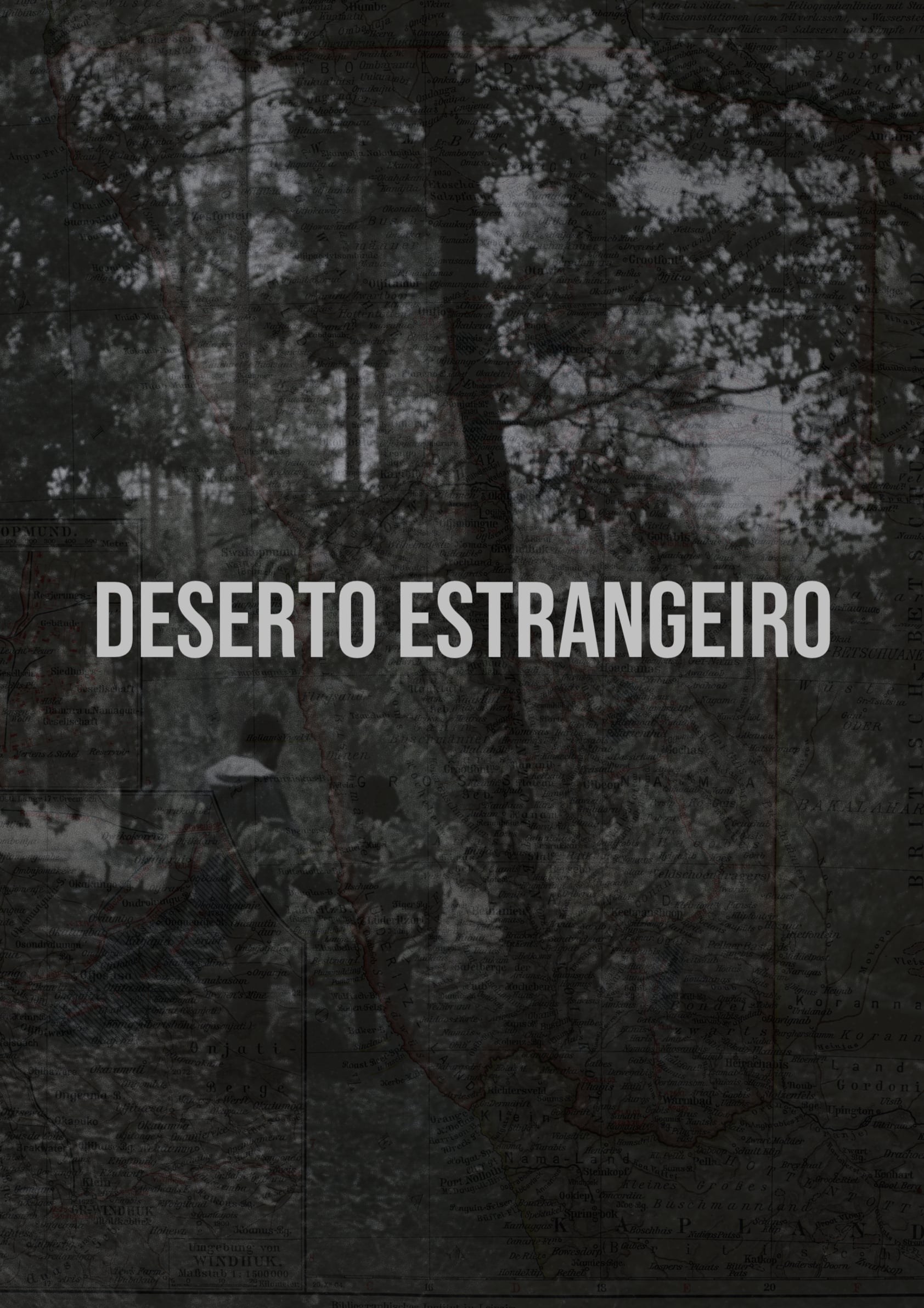 Poster de DESERTO ESTRANGEIRO