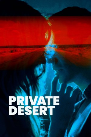 Desierto Particular