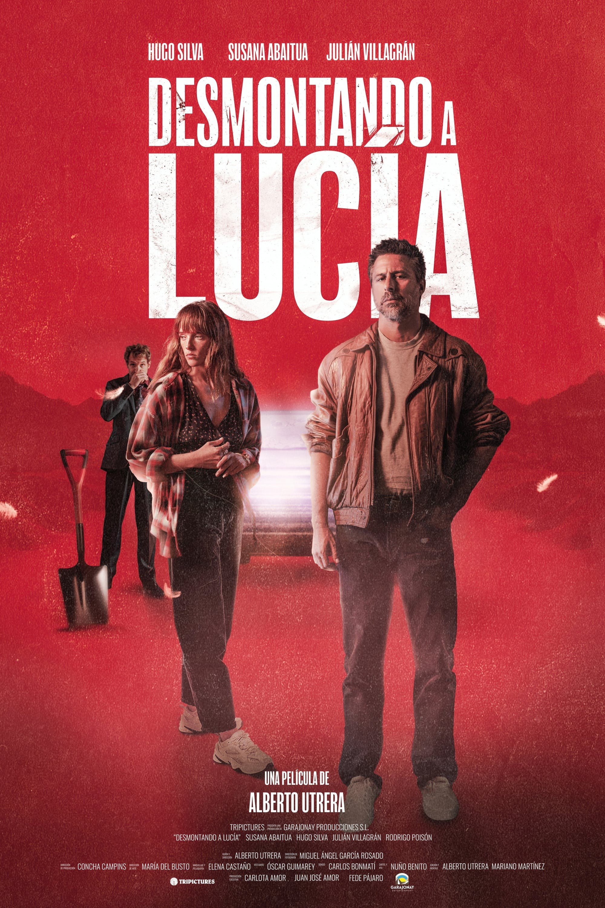 Poster de DESMONTANDO A LUCÍA