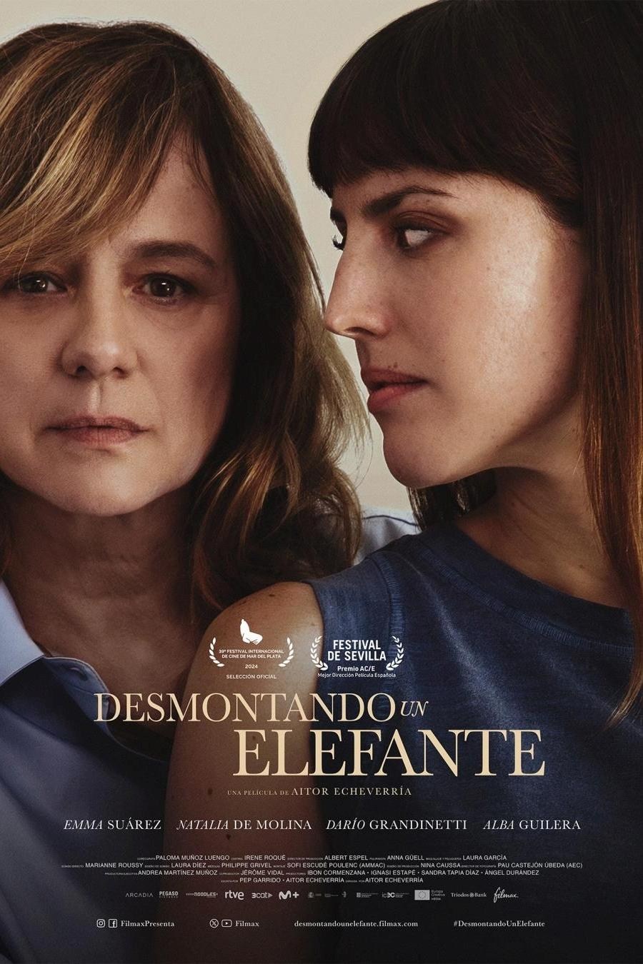 Poster de DESMONTANDO UN ELEFANTE