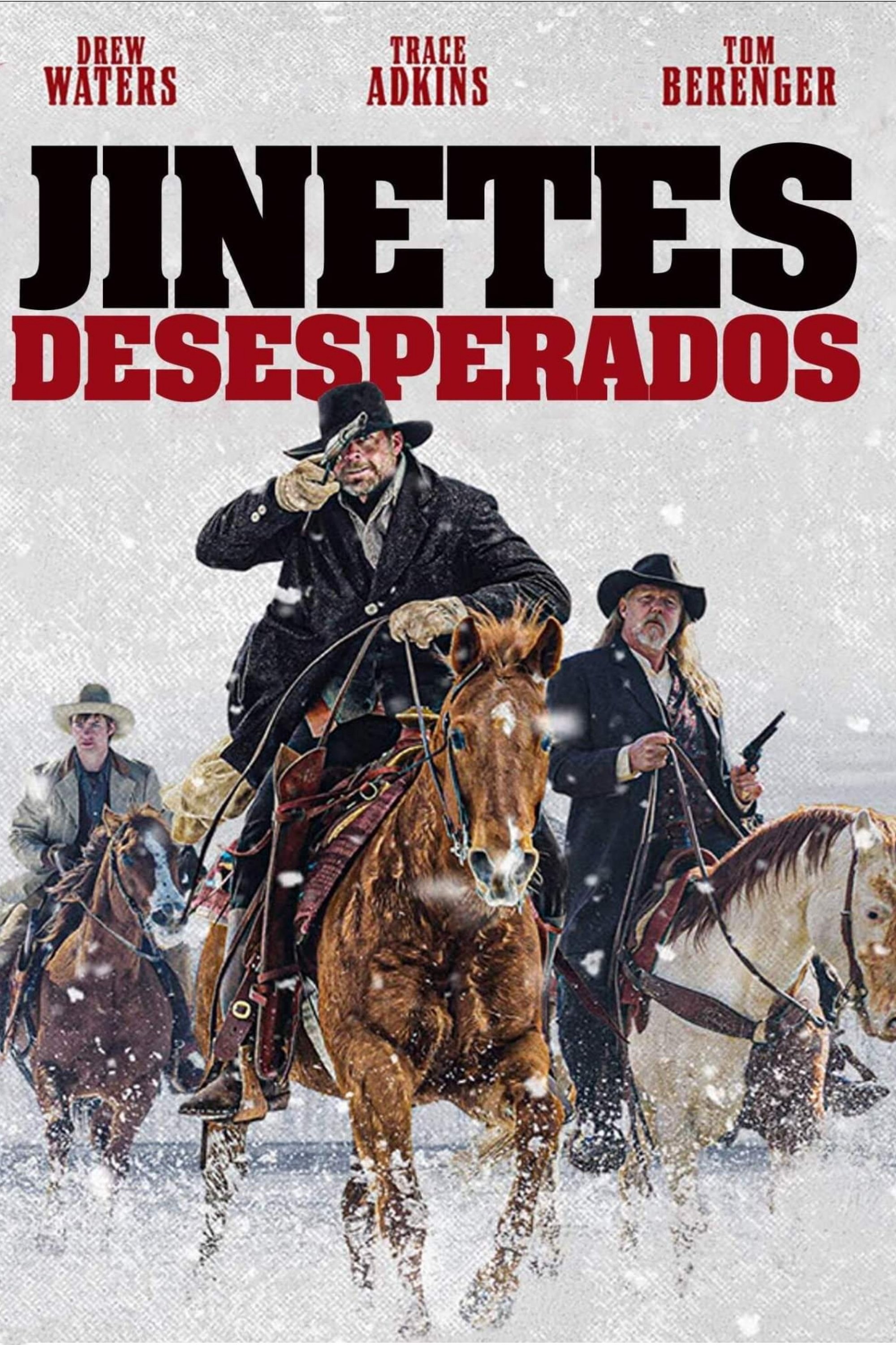 Poster de DESPERATE RIDERS en español