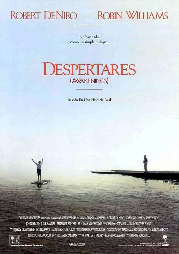 Poster de DESPERTARES en español