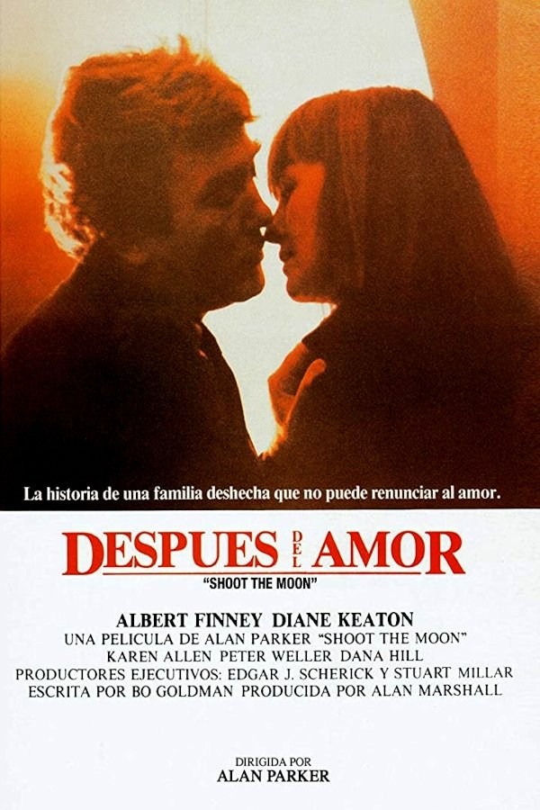 Poster de DESPUÉS DEL AMOR en español