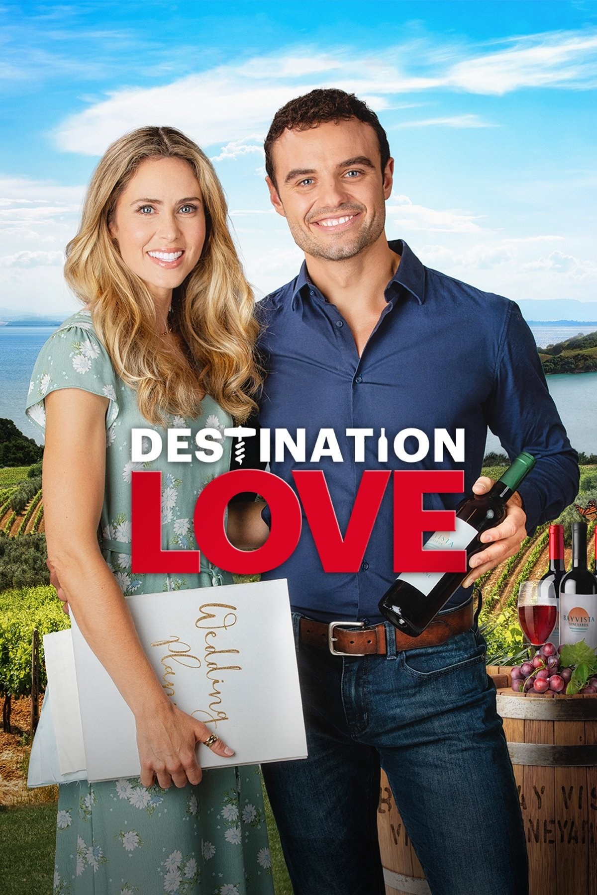 Poster de DESTINATION LOVE en inglés