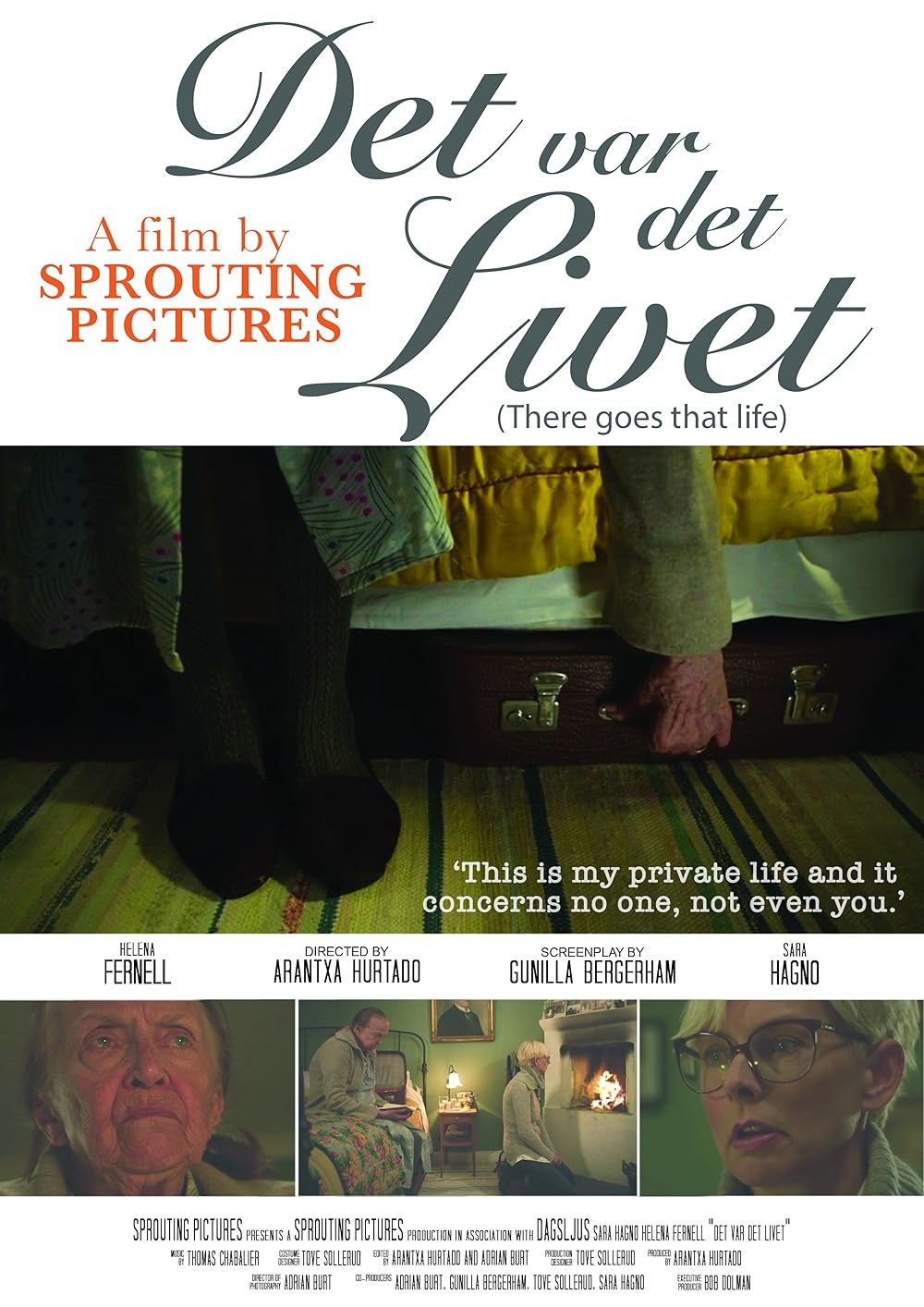 Poster de DET VAR DET LIVET