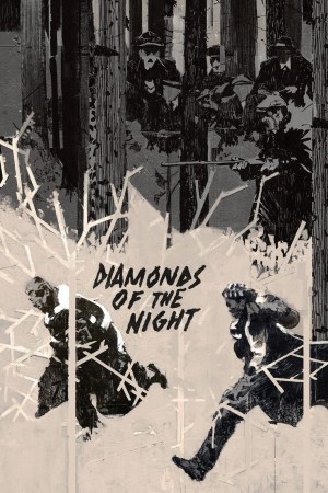 Diamantes de la noche