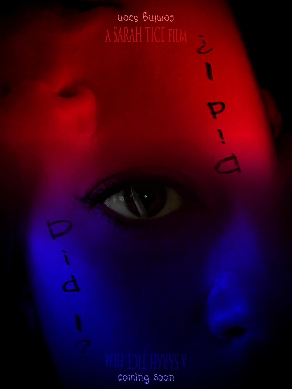 Poster de DID I?