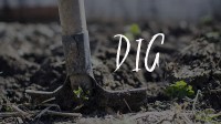 Dig