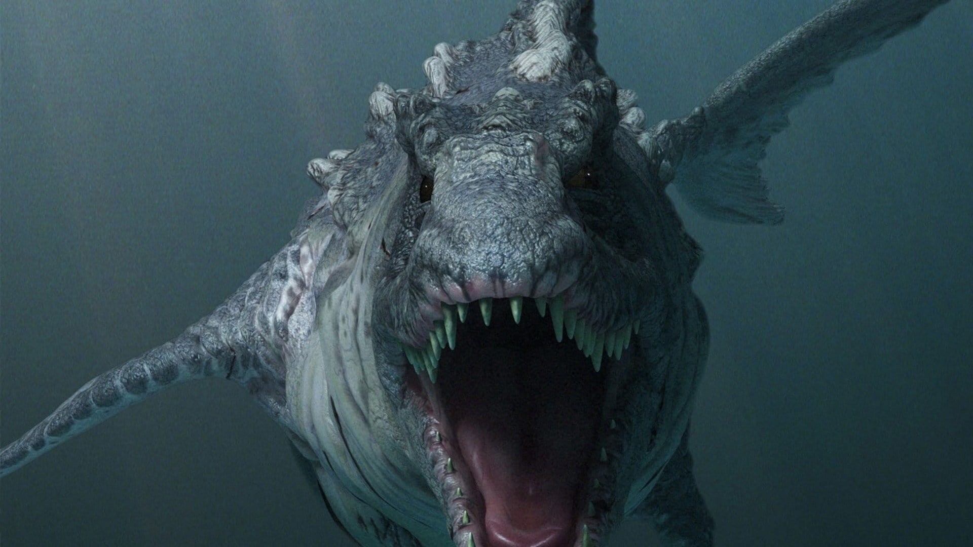 Foto de DINOSHARK