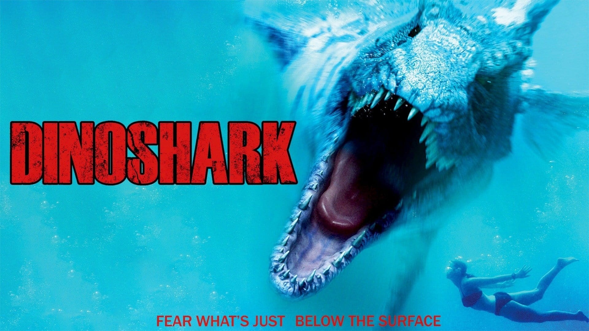 Foto de DINOSHARK
