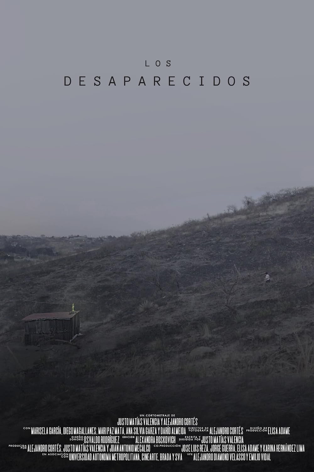 Poster de DISAPPEARED