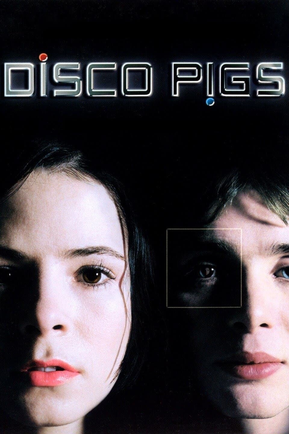 Poster de DISCO PIGS en inglés