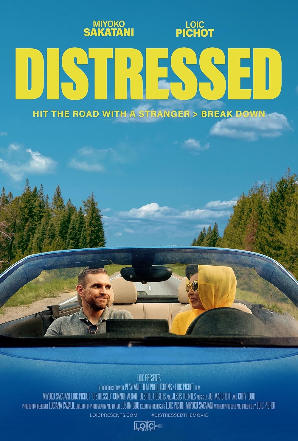 Poster de DISTRESSED