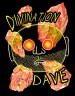 Divination Dave