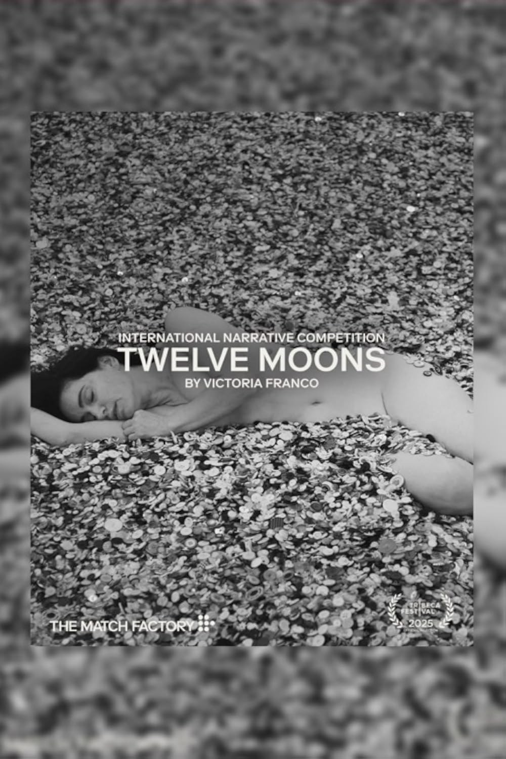 Poster de DOCE LUNAS