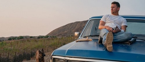 Foto de DOG. UN VIAJE SALVAJE