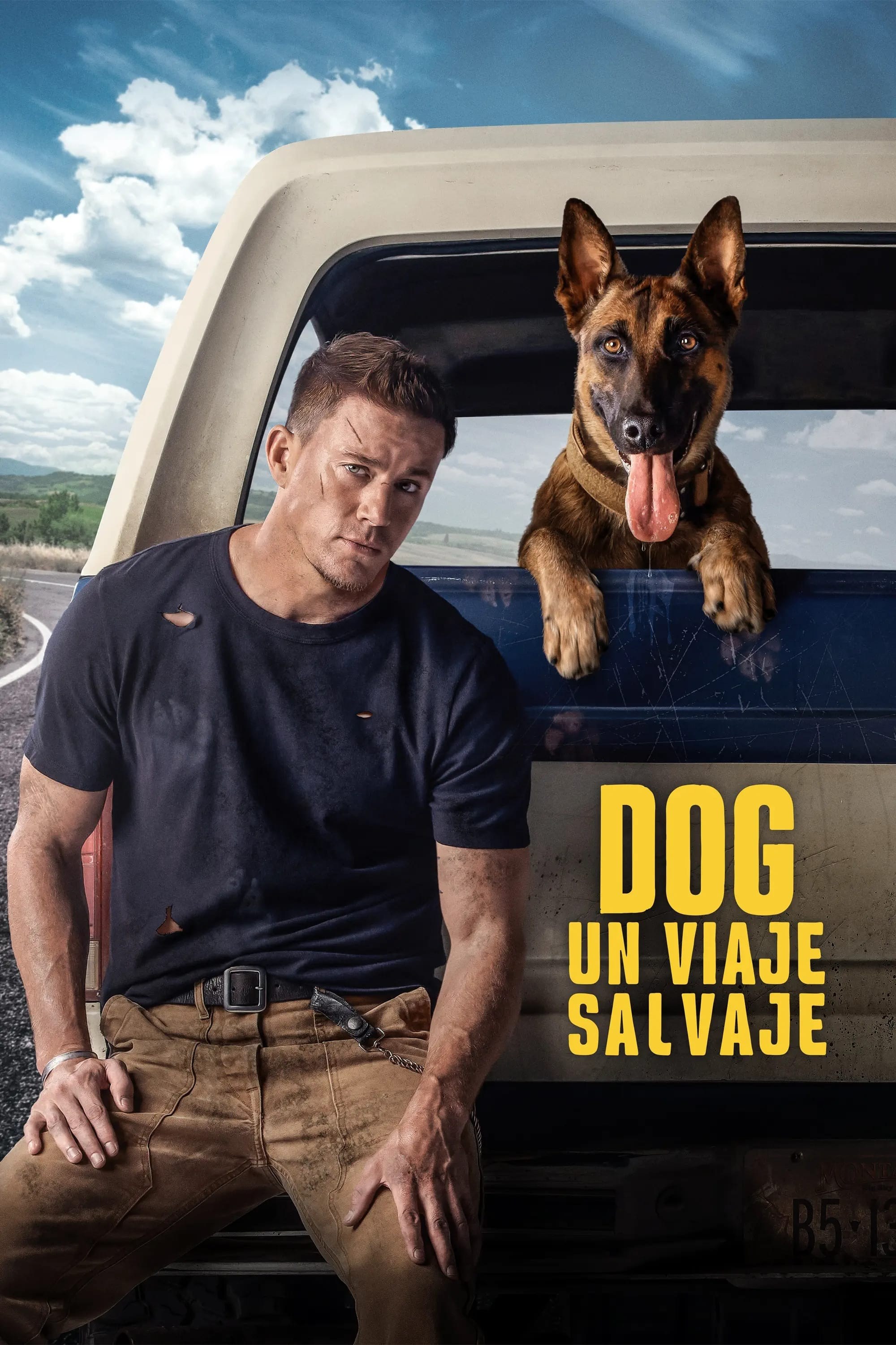 Poster de DOG. UN VIAJE SALVAJE en español