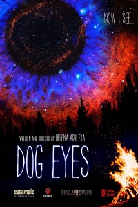 Dog Eyes